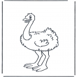 Småbarn - Little ostrich