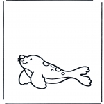 Småbarn - Little seal