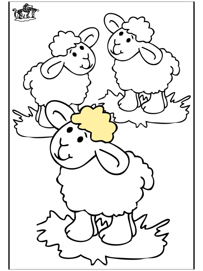 Little sheep 3 - Husdyr og gårdsdyr