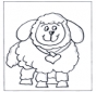 Little sheep