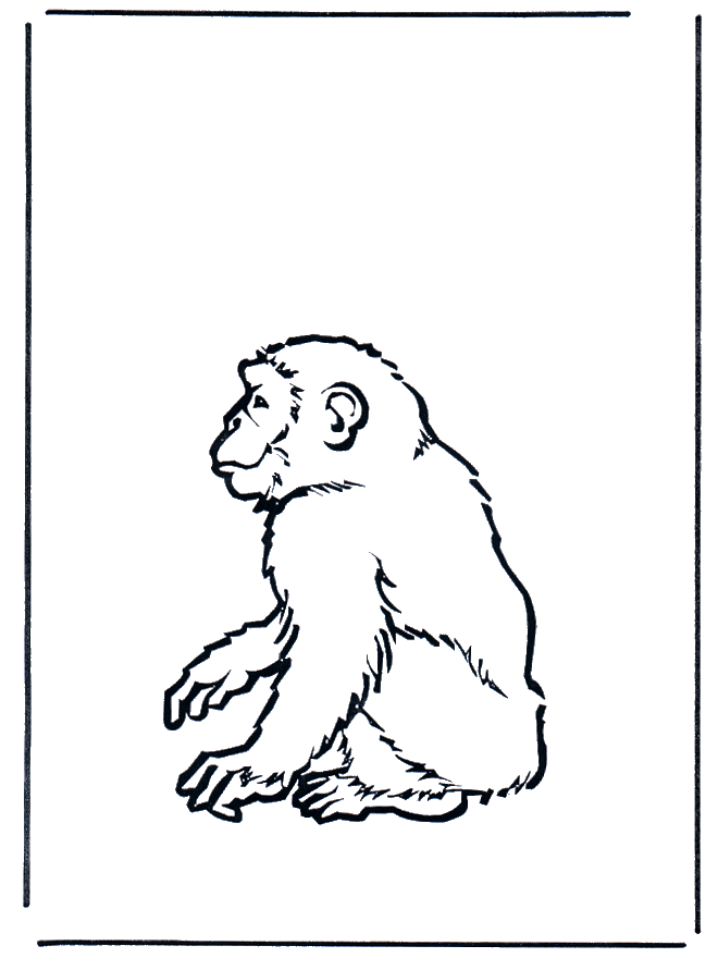 Monkey 2 - Fargeleggingstegninger dyrehage