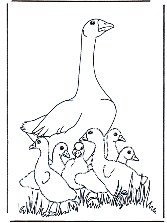 Mother goose - Fargeleggingstegninger fugler
