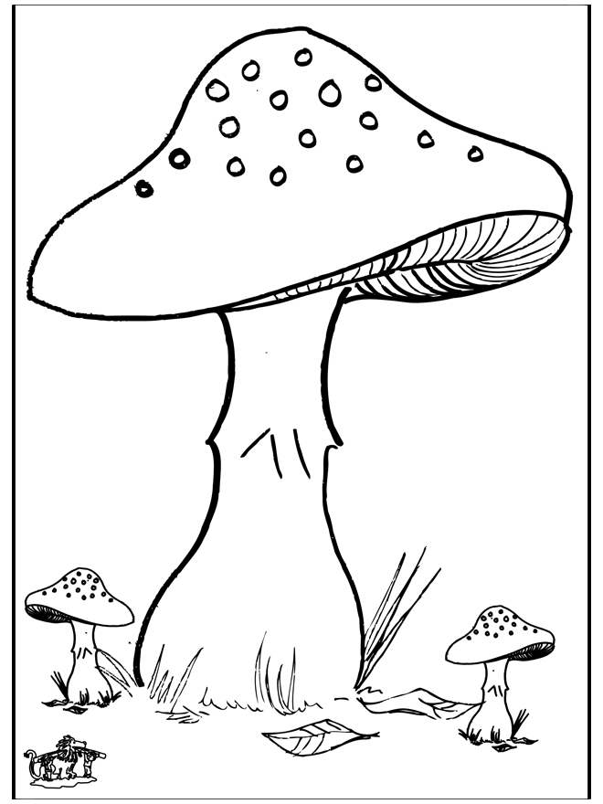 Mushroom 3 - Fargeleggingstegninger høst