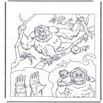 Dyr - Orang utan