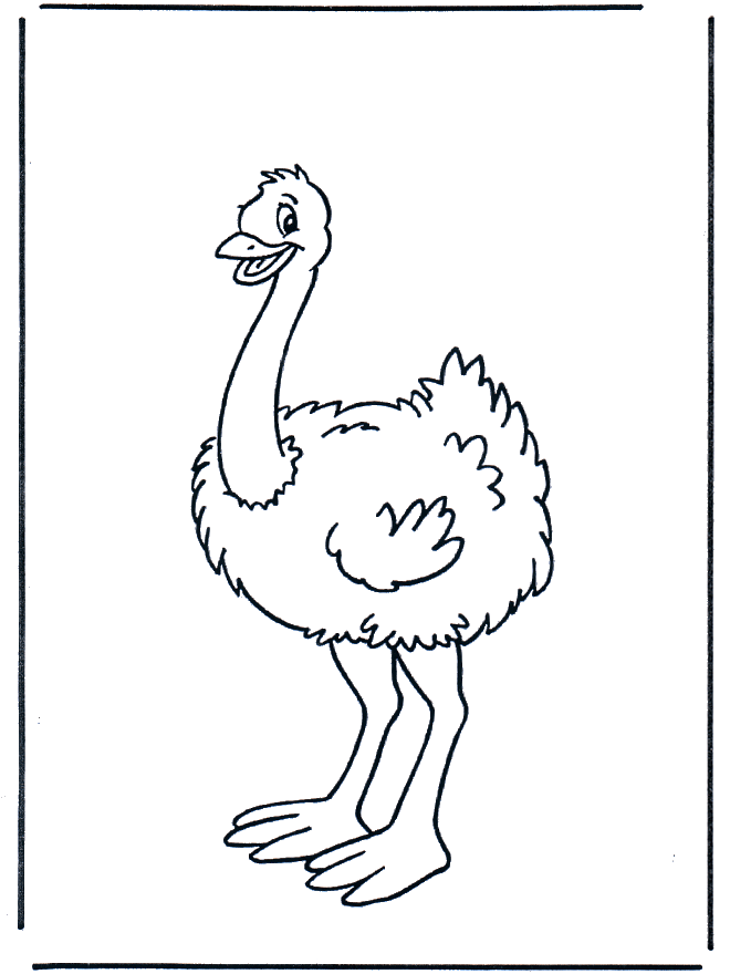 Ostrich 1 - Fargeleggingstegninger fugler