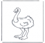 Ostrich 1