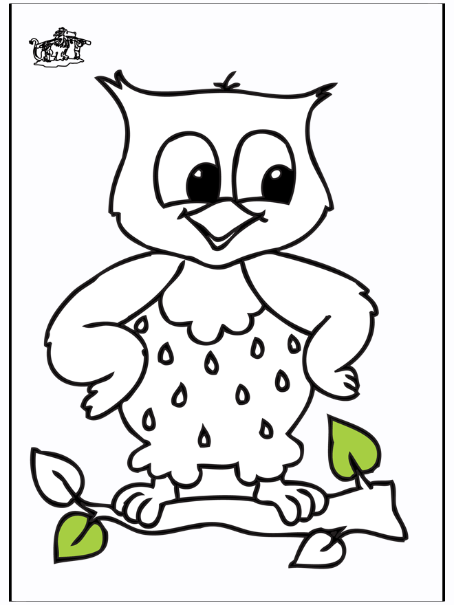 Owl - Fargeleggingstegninger fugler