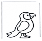 Parrot 1