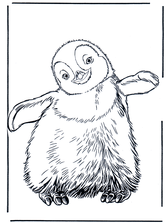 Penguin 3 - Fargeleggingstegninger dyrehage