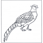 Dyr - Pheasant