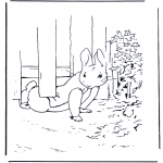 Litt av hvert - Pieter Rabbit 3