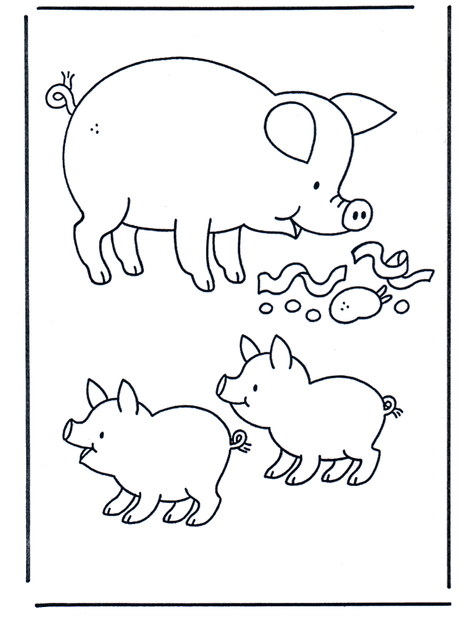 Pig - Husdyr og gårdsdyr
