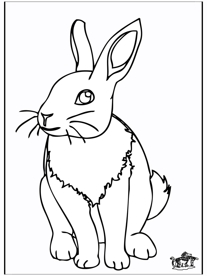 Rabbit 4 - Fargeleggingstegninger gnagerdyr