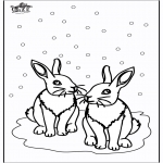 Vinter - Rabbits
