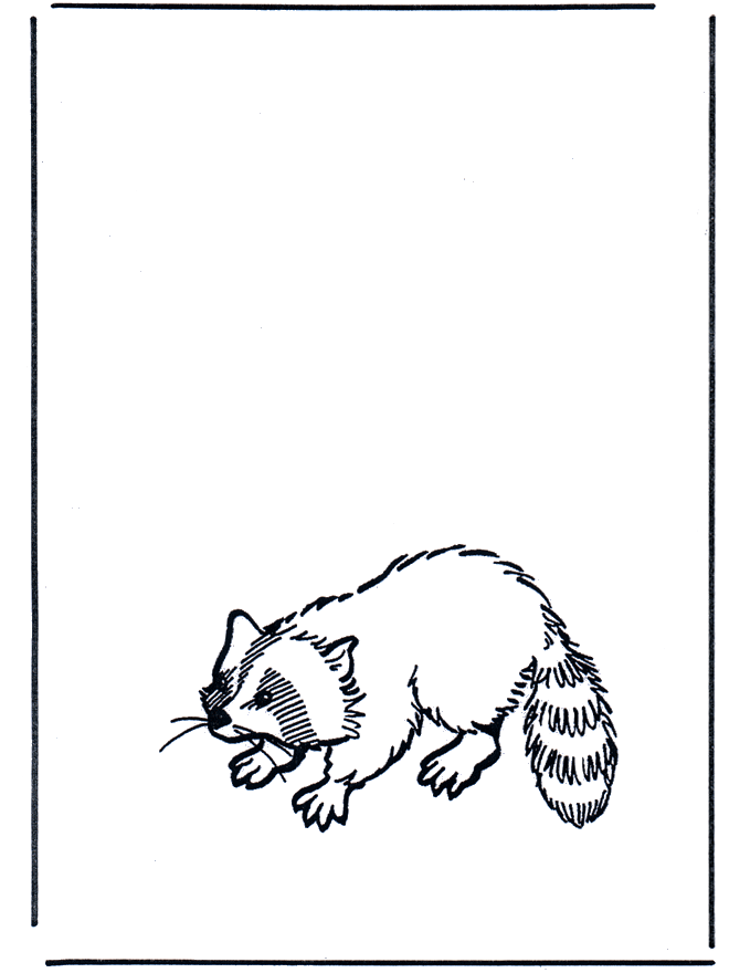 Raccoon - Fargeleggingstegninger dyrehage