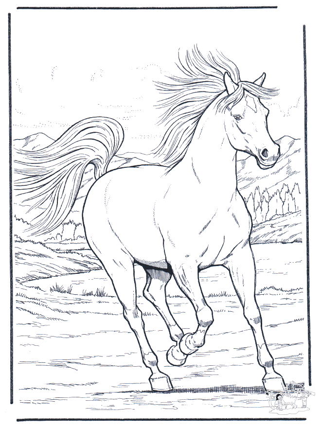 Running horse - Fargeleggingstegninger hester