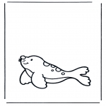 Dyr - Seal 1