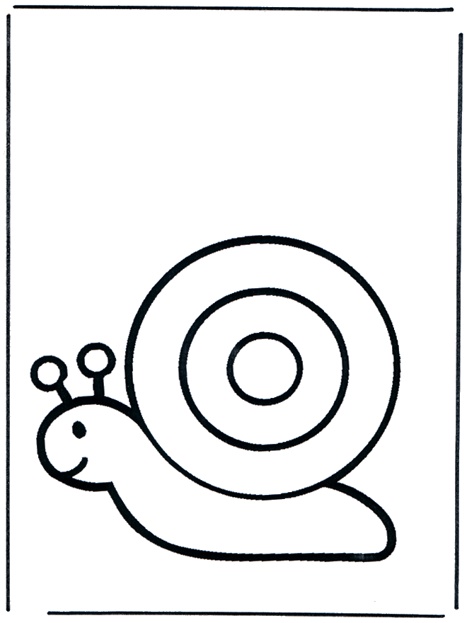 Snail