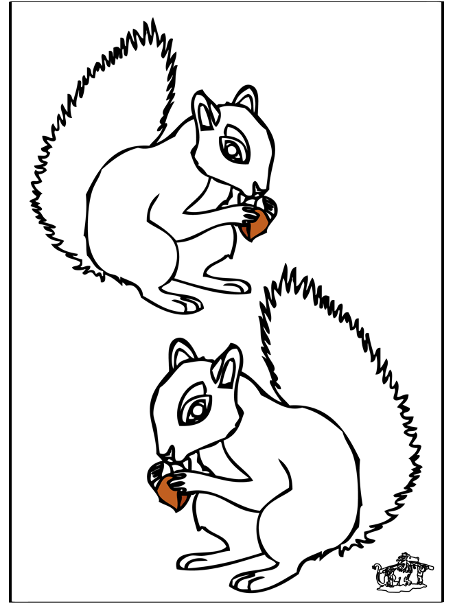 Squirrel 4 - Fargeleggingstegninger gnagerdyr