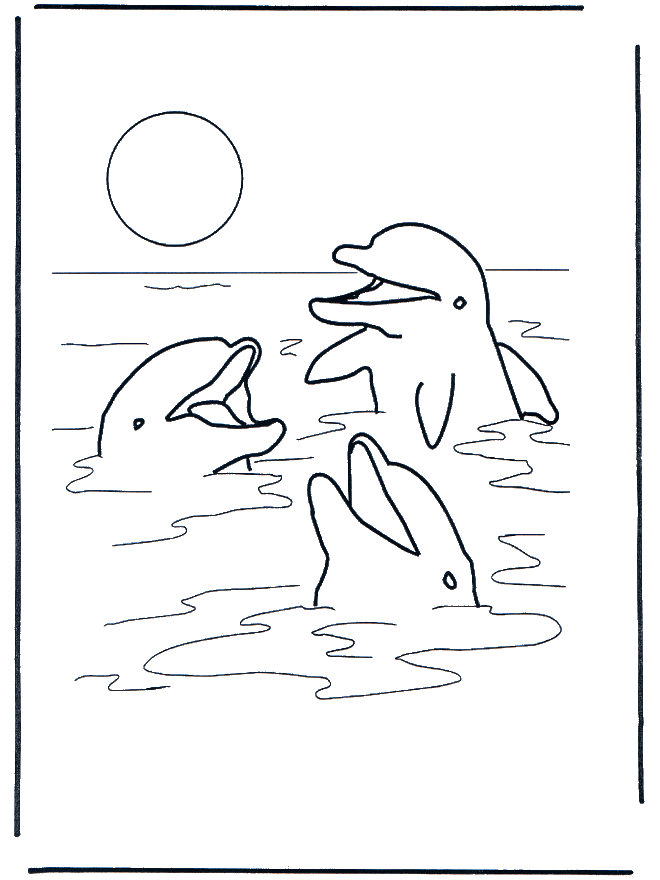 Three dolphins - Delfiner og vanndyr