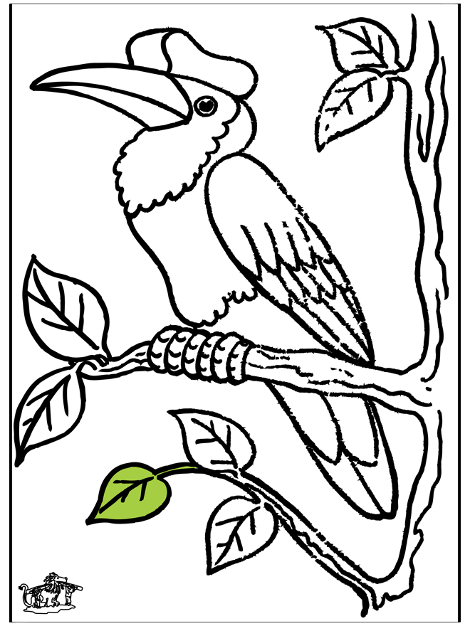 Toucan - Fargeleggingstegninger fugler