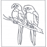 Dyr - Two parrots