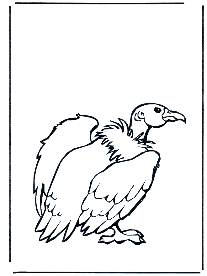Vultures - Fargeleggingstegninger fugler